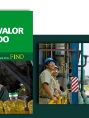 Reporte Fino 2010